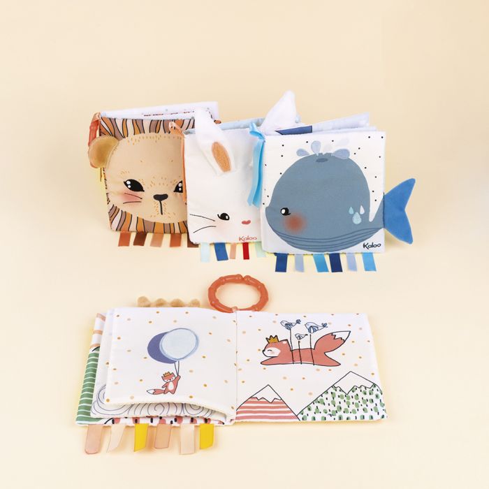 Libro de Actividades