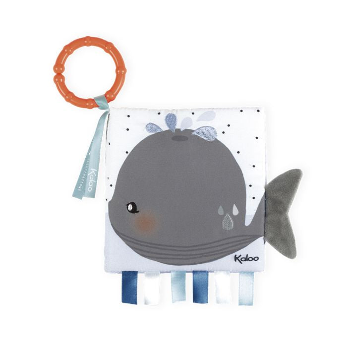 Libro de Actividades