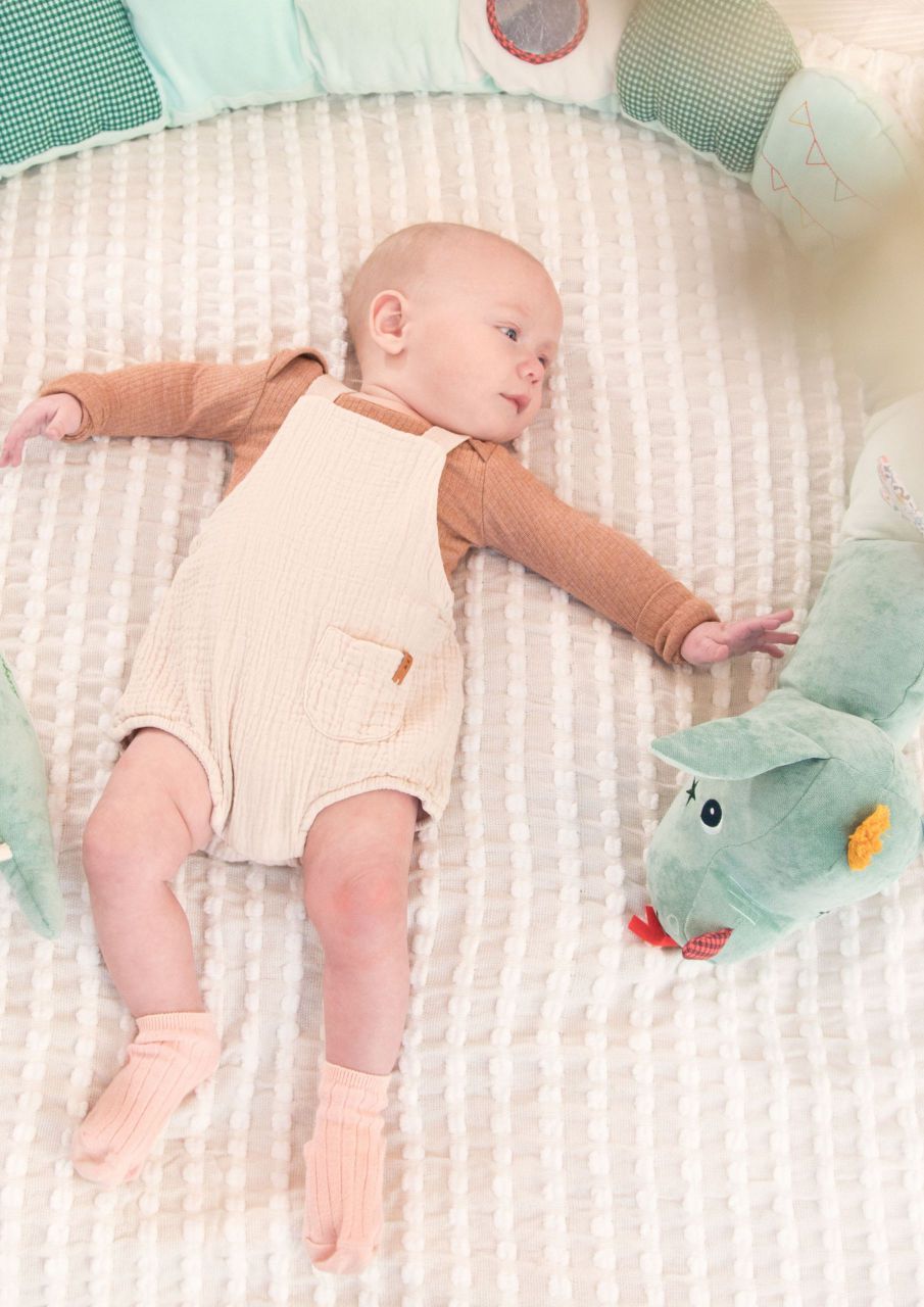 JOE BARRERA ACOLCHADA