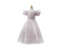 Vestido Princesa Platino