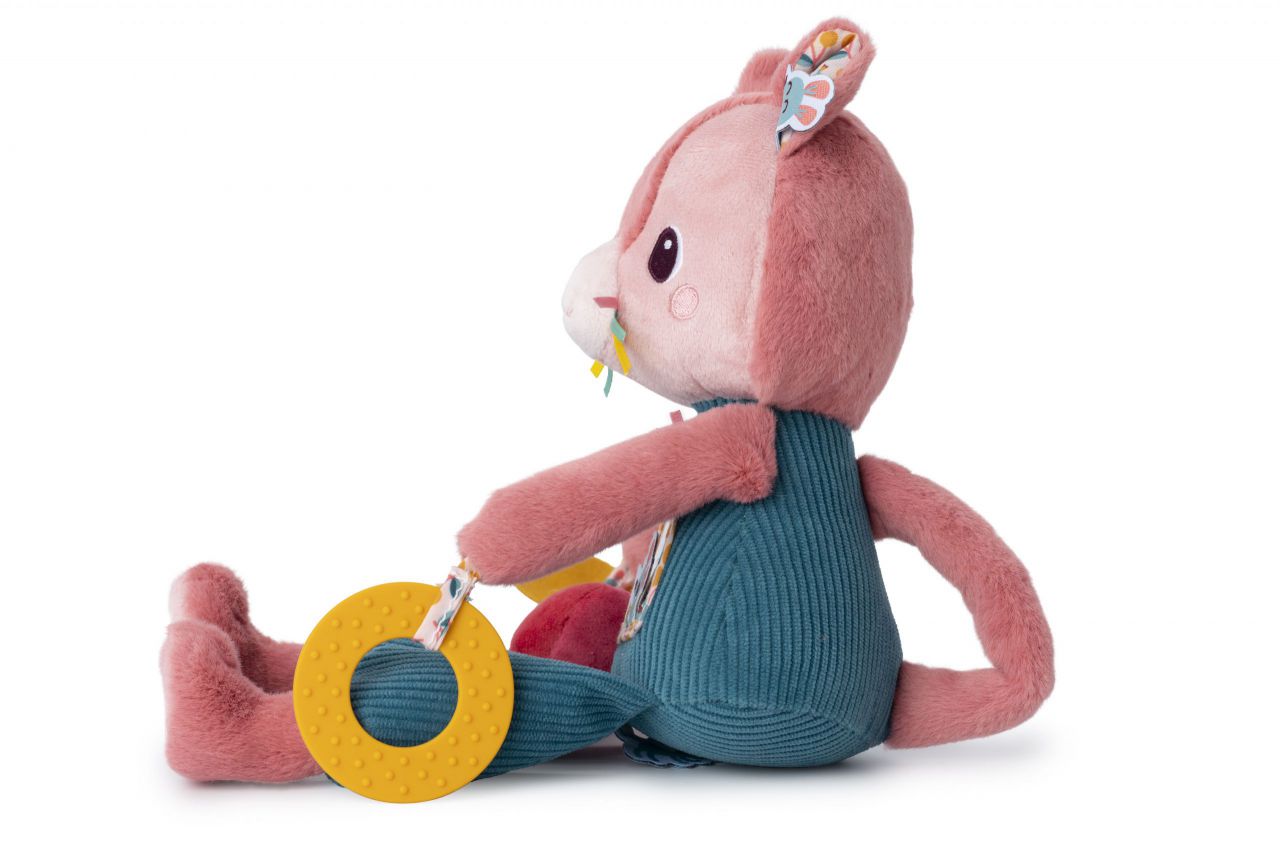 Jeanne Gatita Multiactividad