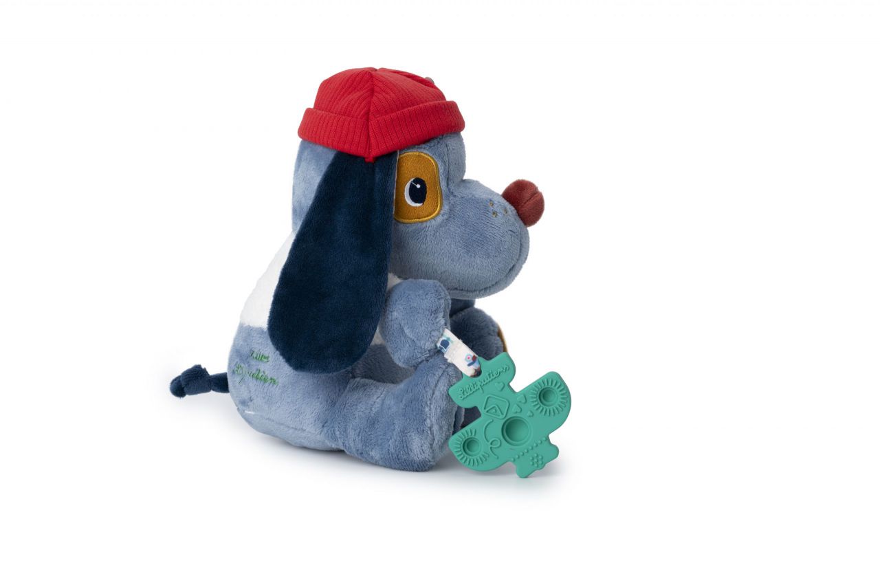 Jules Perro Multiactividad