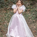 Vestido Princesa Platino