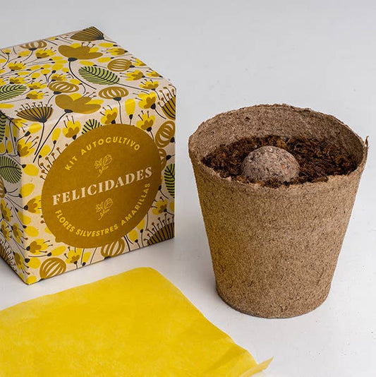 Díselo con flores "Felicidades"