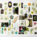 MISTERIOUS NATURE - Luxury Gift Set