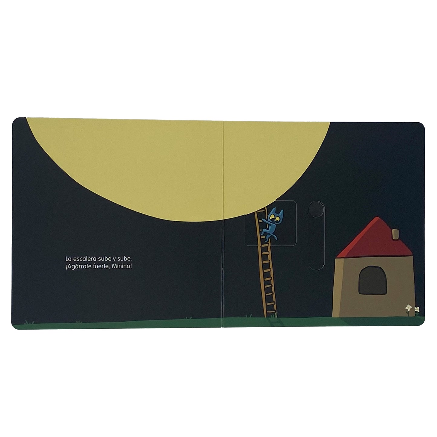 Minino y la luna