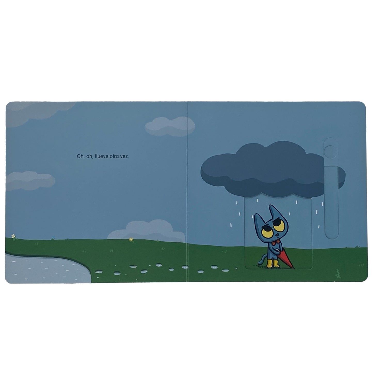 Minino y la lluvia
