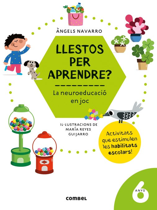 Llestos per aprendre? La neuroeducació en joc