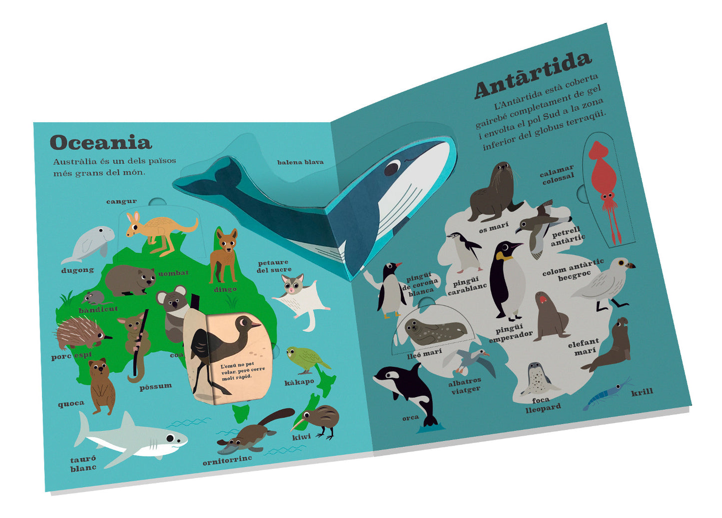Atles d’animals