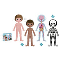 Puzle - Cuerpo Humano