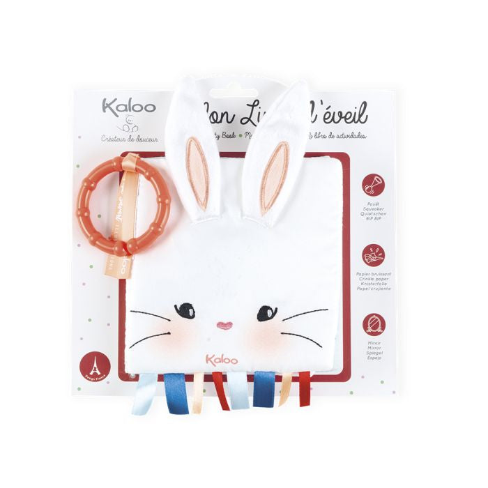 Libro de Actividades