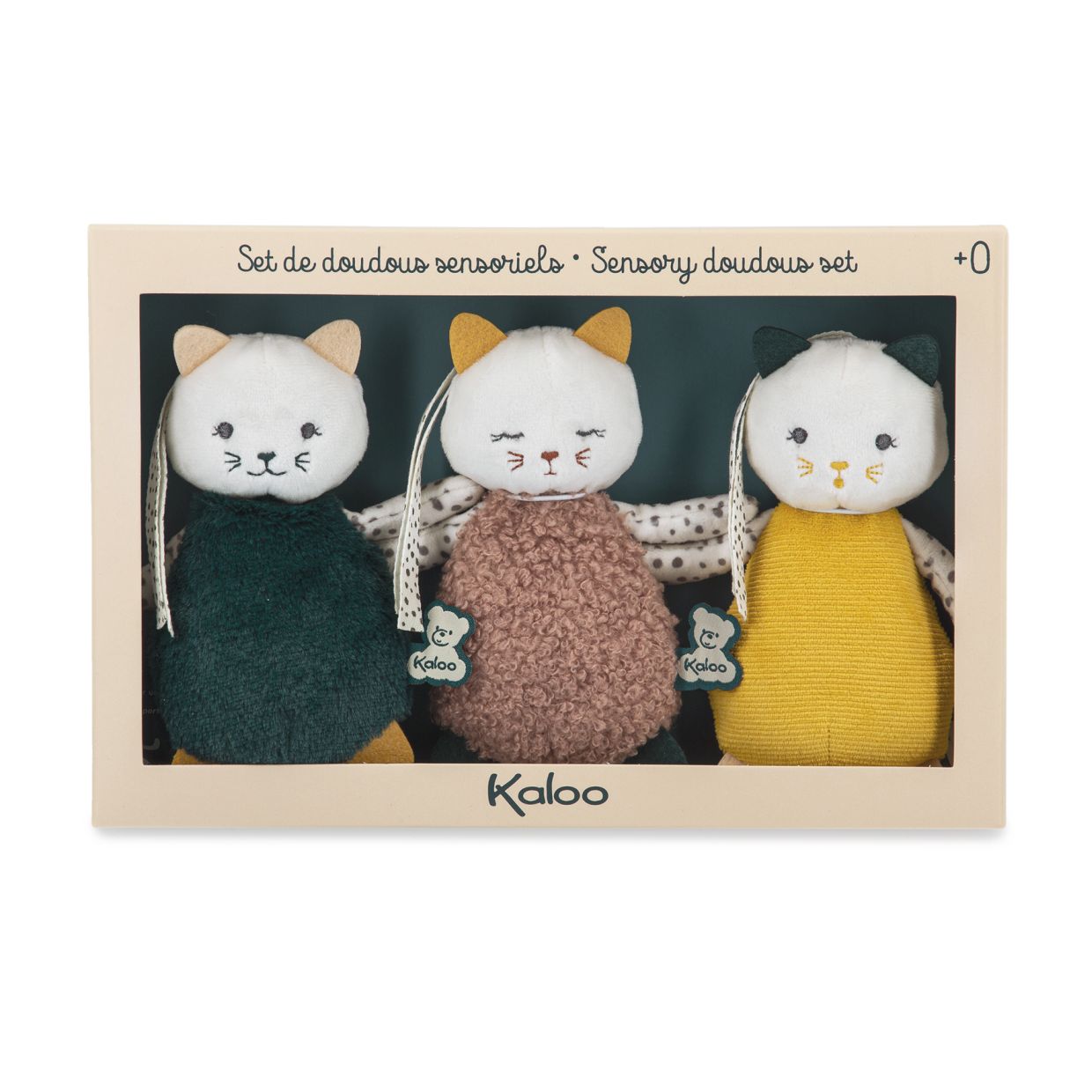 Mis Gatitos Sensoriales