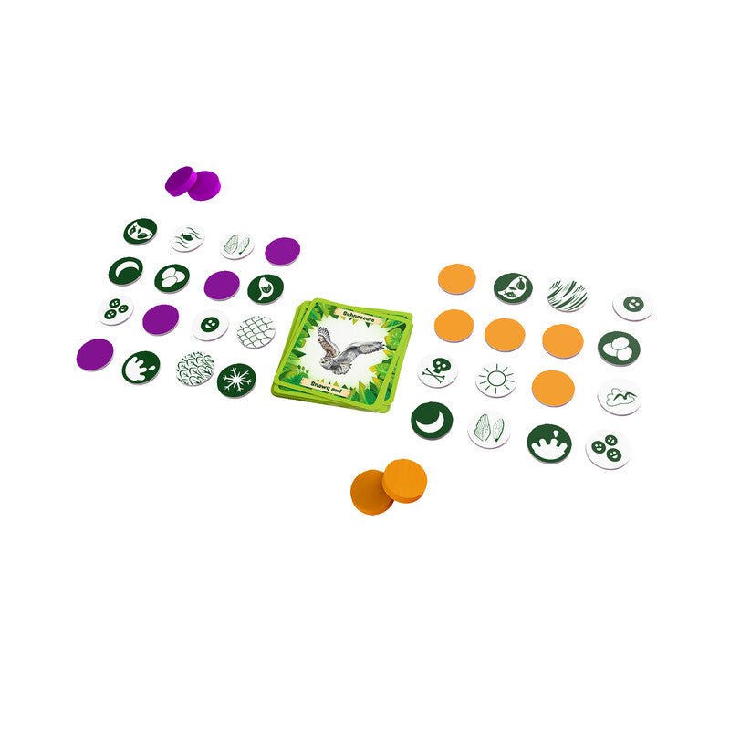 Bingo Animals Around the World