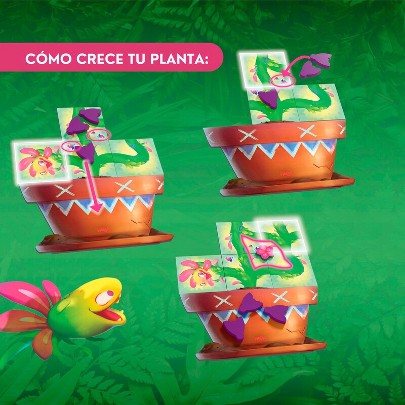 Carni Flora