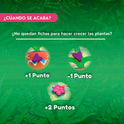 Carni Flora