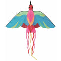 Cometa Pájaro