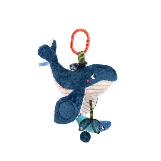 Ballena Musical Paulie