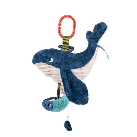 Ballena Musical Paulie