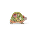 Tortuga Petits Lapins