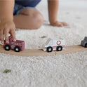 Vehículos Sistema de Trenes