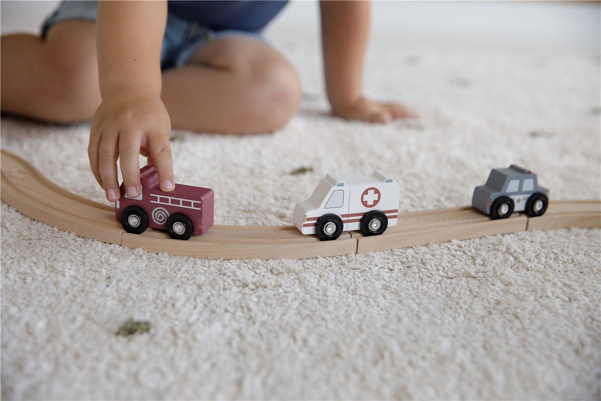 Vehículos Sistema de Trenes