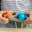 Bath Racers Platypuses
