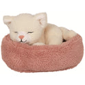 Gatito Penny