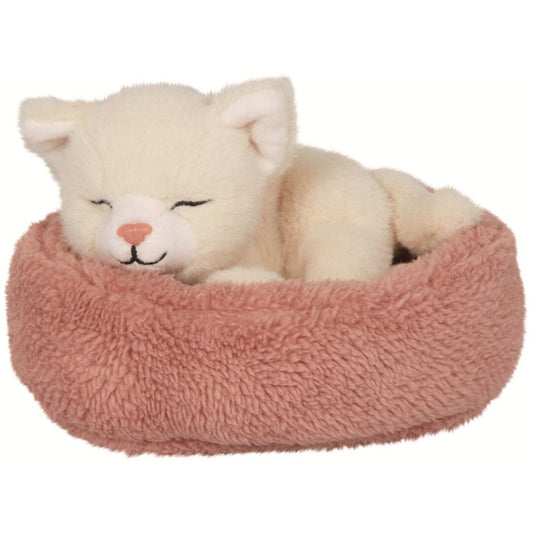 Gatito Penny
