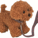 Peluche Caniche Sammy