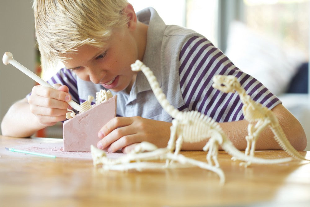 Kidz Labs Kit Geológico Triceratops