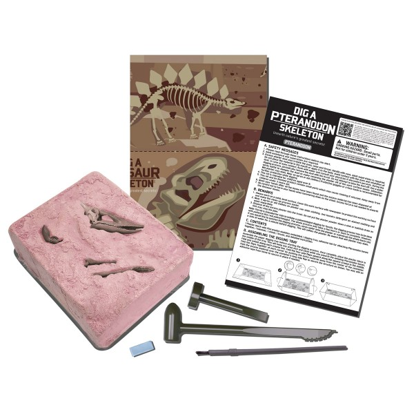 Kit Geológico Pteranodon