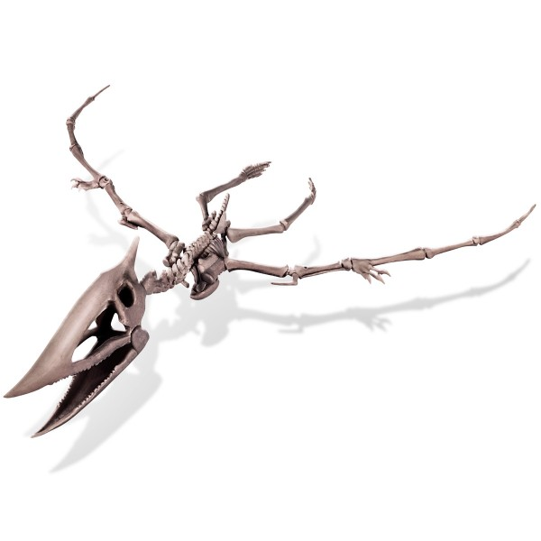 Kit Geológico Pteranodon