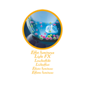 Química Mágica