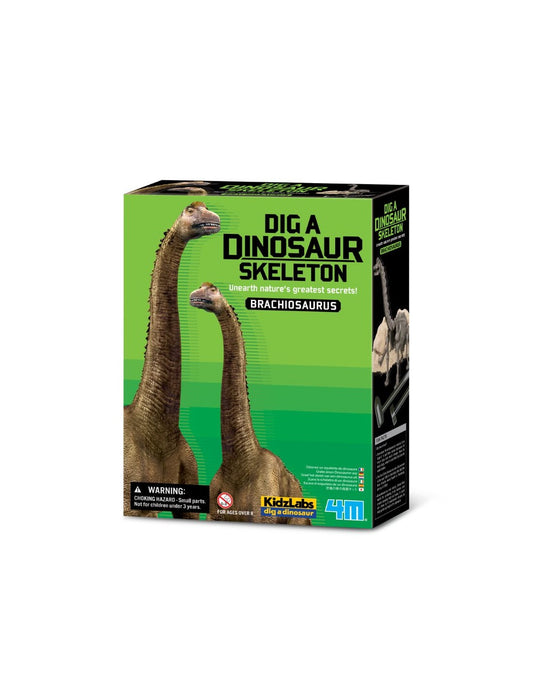 Kit Geológico Brachiosaurus