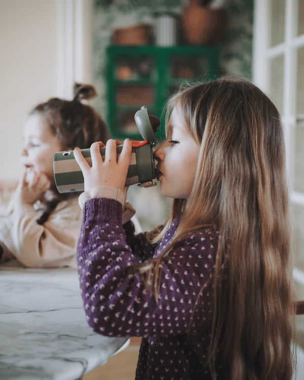 Botella de Acero Térmica Cocodrilo
