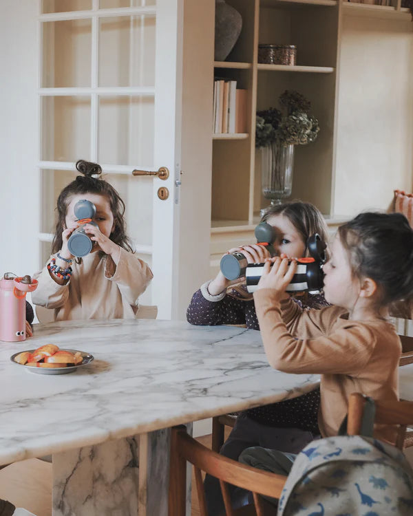 Botella de Acero Térmica Zebra