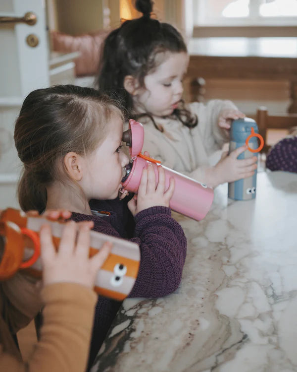 Botella de Acero Térmica Princesa