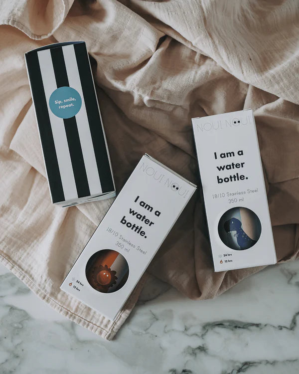 Botella de Acero Térmica León