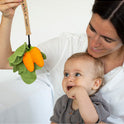 Pacifier Clip